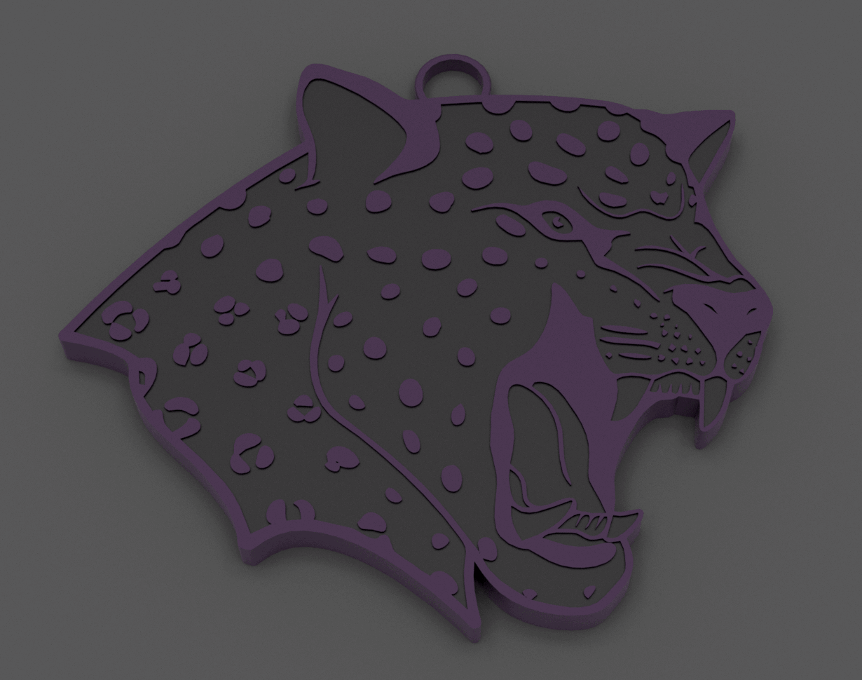Jackson Middle School "Jaguars" Spirit Wear - Big Chain Necklace