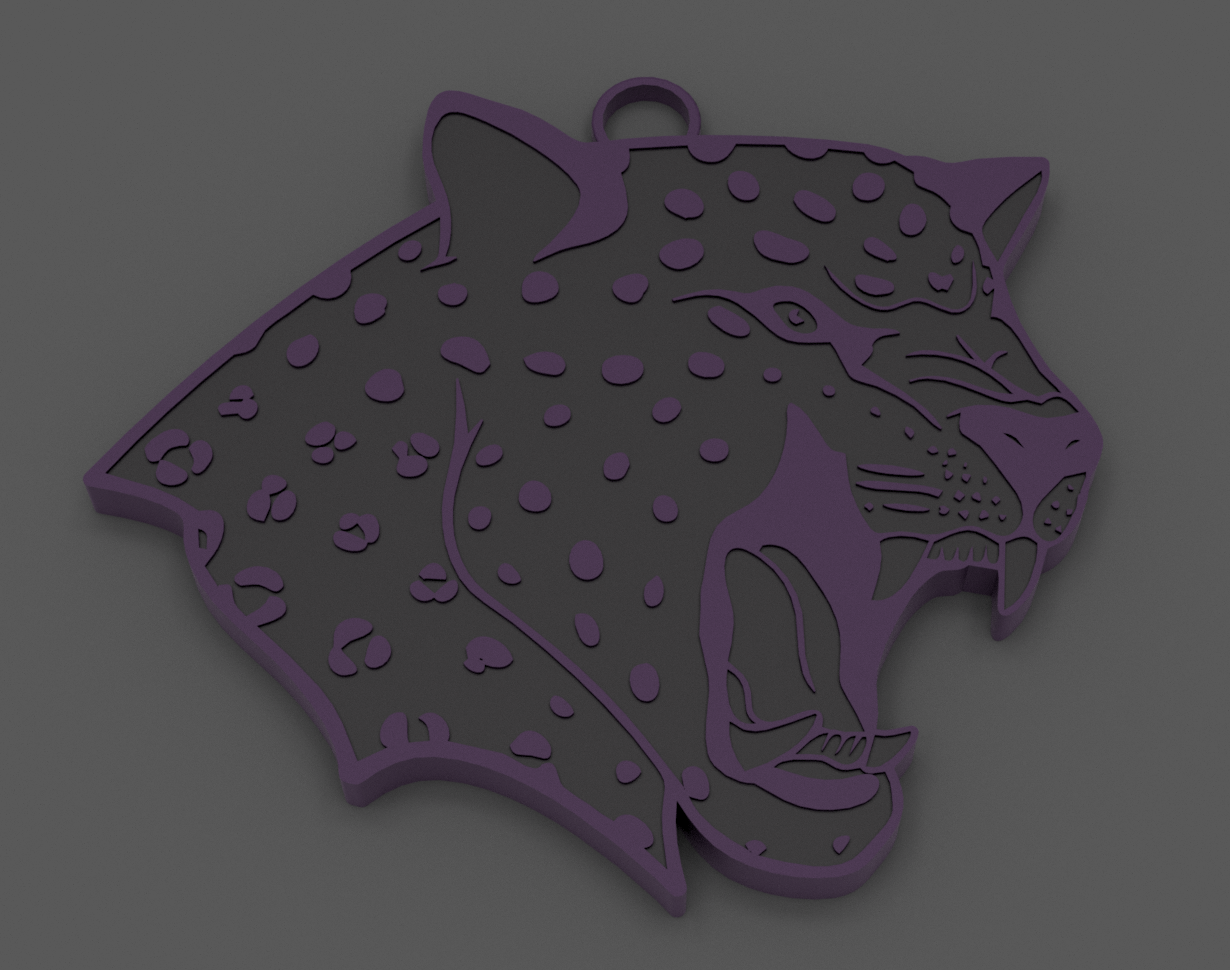 Jackson Middle School "Jaguars" Spirit Wear - Big Chain Necklace