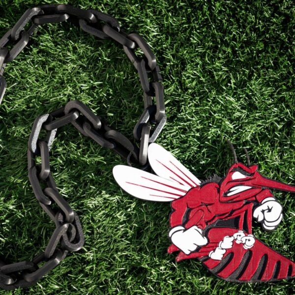 Mesquite Skeeters Spirit Chain Necklace