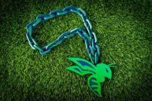 Dallas Hornets Spirit Chain HORNET Necklace
