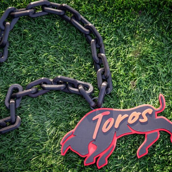 IMG-0048_e109ee2b-ecf8-47f8-827a-4dd4033476b6.jpg Toros Spirit Chain Necklace
